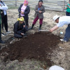 Mongolian agronomis demonstrates vegetable garden preparation to Darhad Valley residents