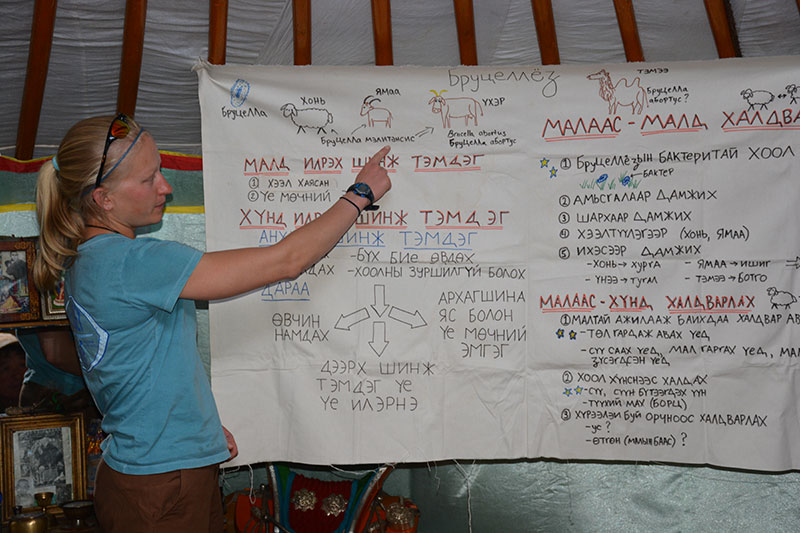 Jen Higgins, BioRegions brucellosis workshop conducted in the Mongolian language