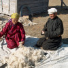 Processing raw wool to make felt